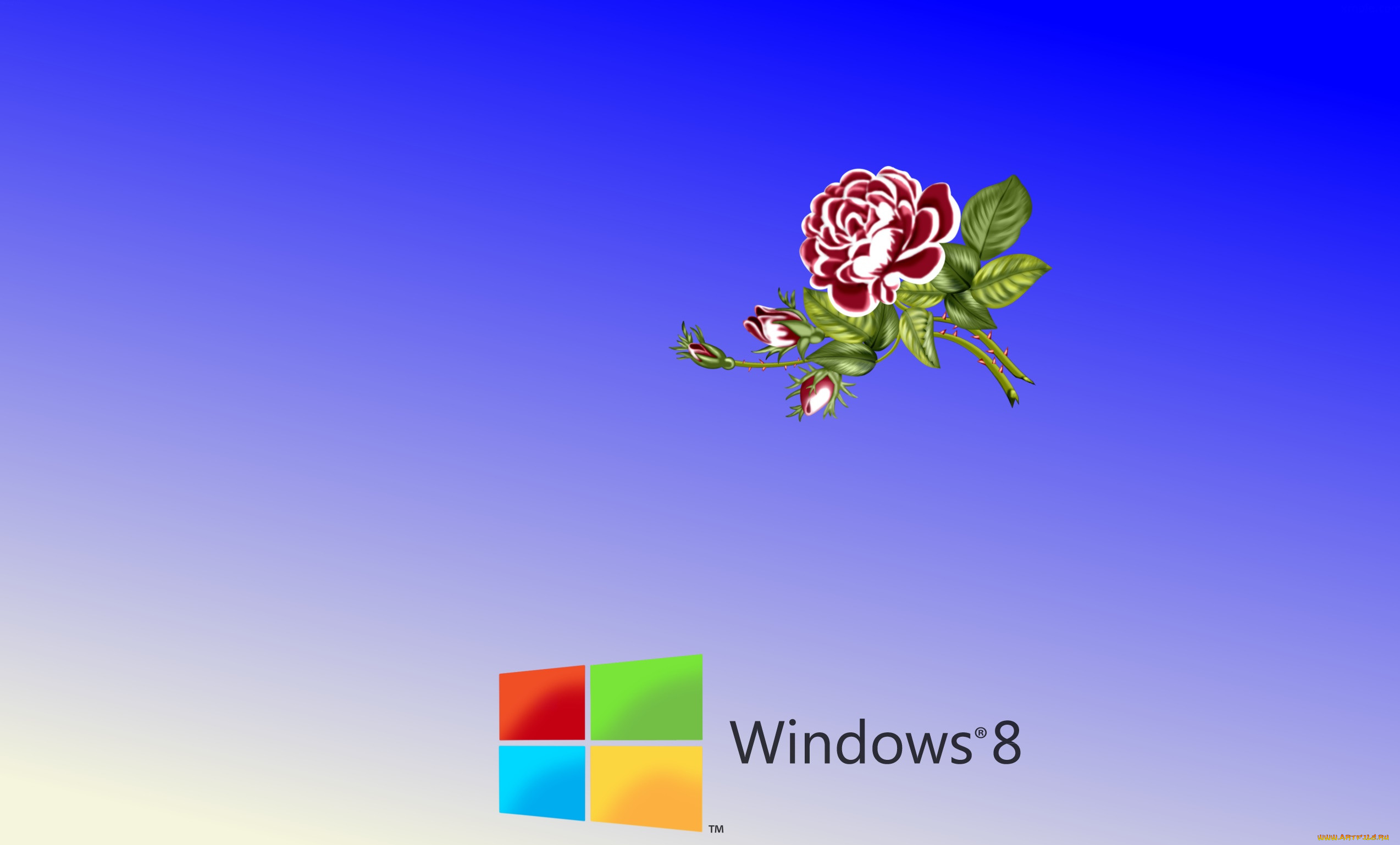 , windows 8, , 